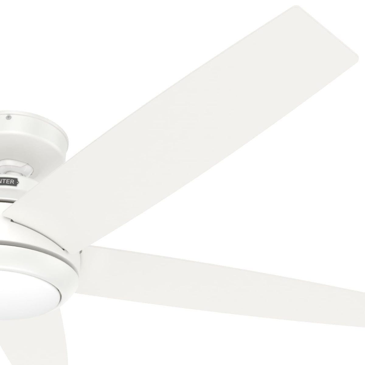 Zayden with LED Light - 52 inch