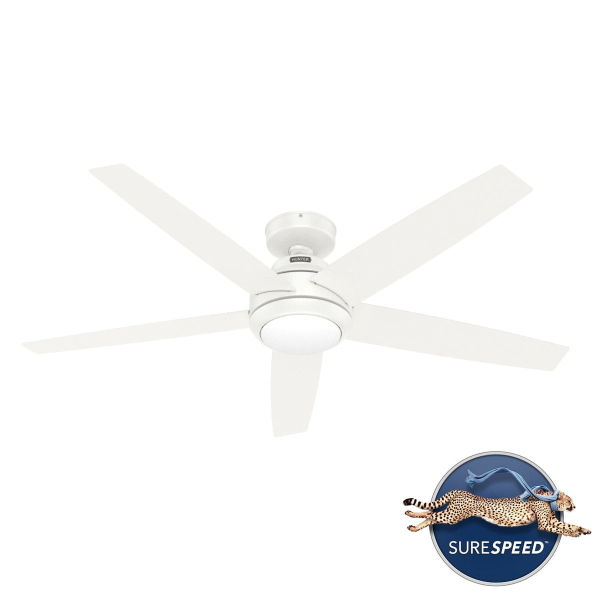 Zayden with LED Light - 52 inch