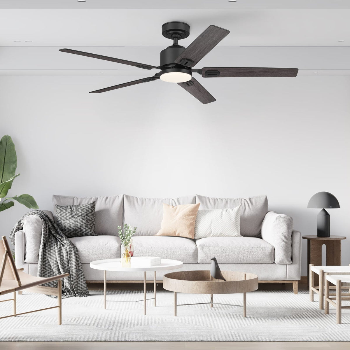 Eleve Comfort 5 Blade Indoor 52 inch M5