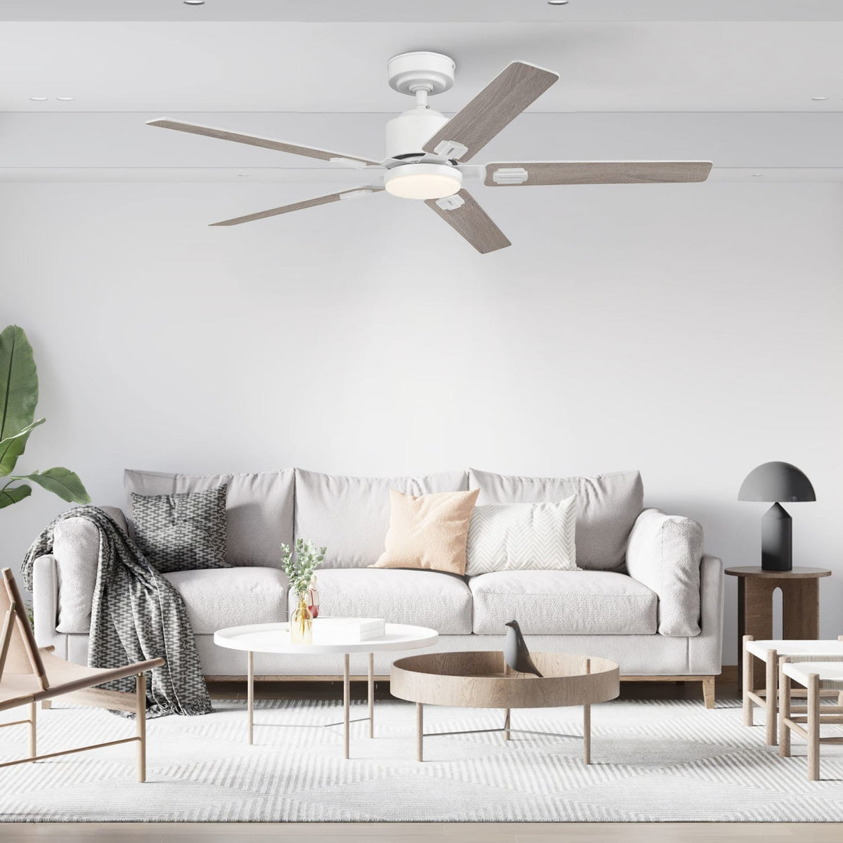 Eleve Comfort 5 Blade Indoor 52 inch M5