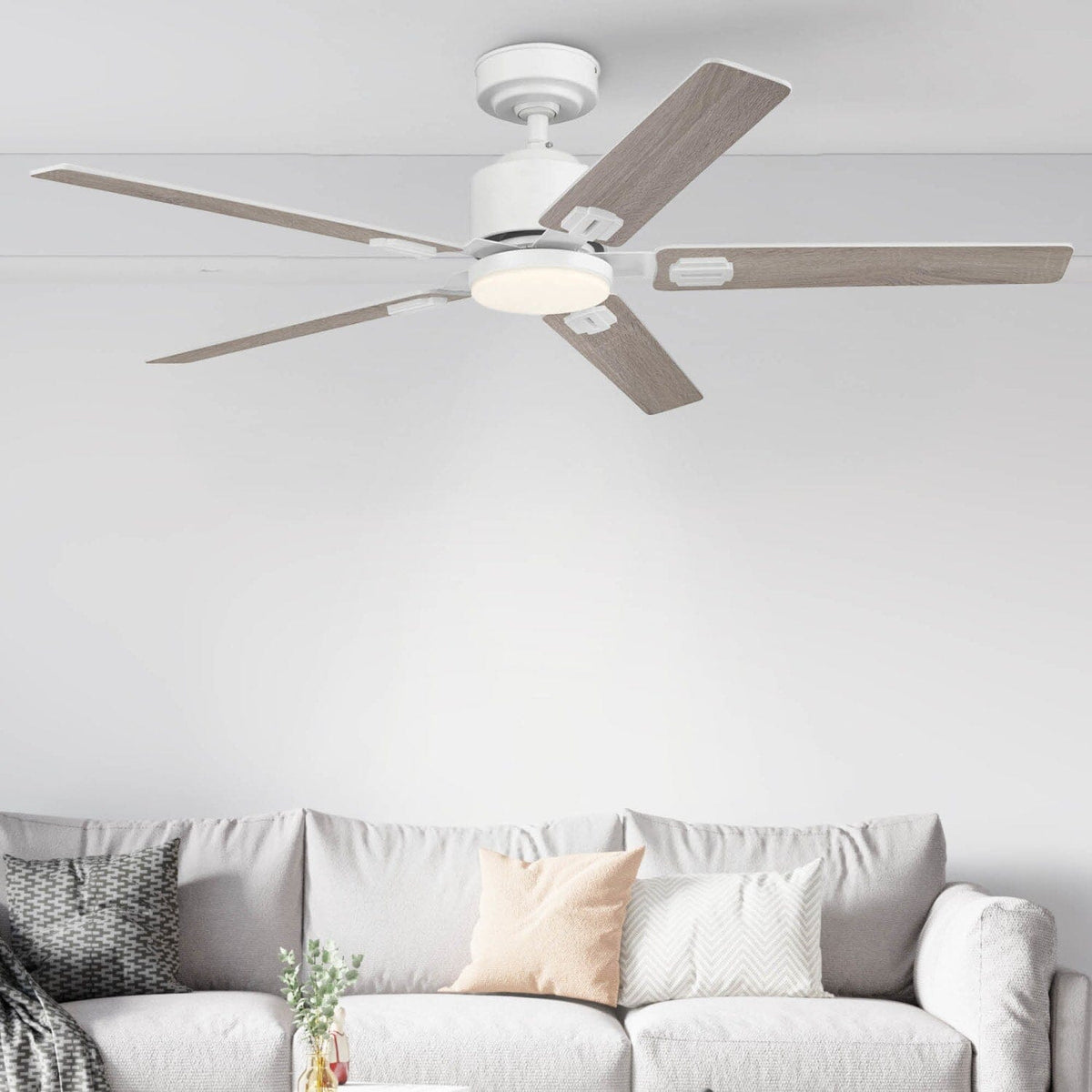 Eleve Comfort 5 Blade Indoor 52 inch M5
