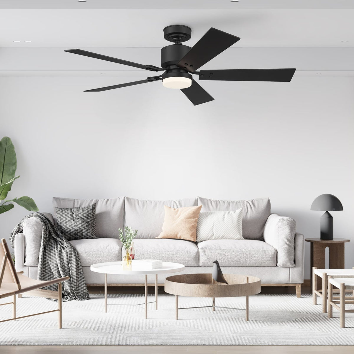Eleve Comfort 5 Blade Indoor 52 inch M4