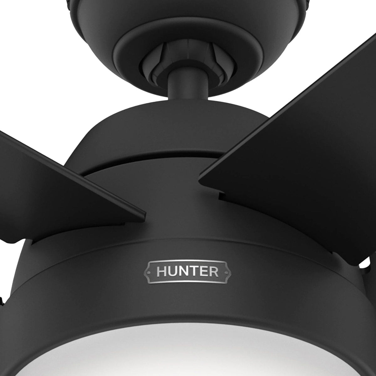 Anslee with LED Light 52 inch