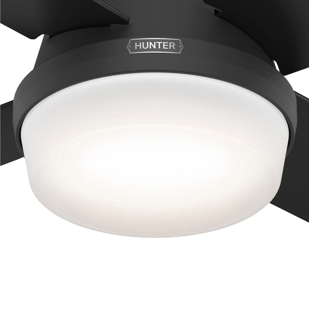 Dempsey Low Profile with Light 44 inch