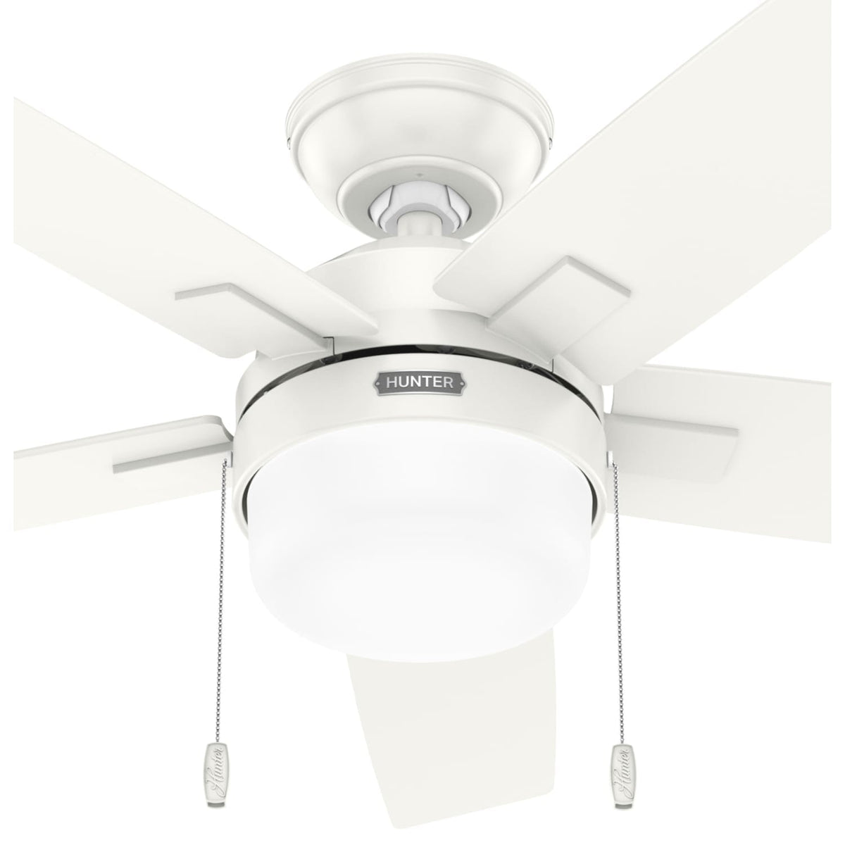 Anisten with LED Light 44 inch
