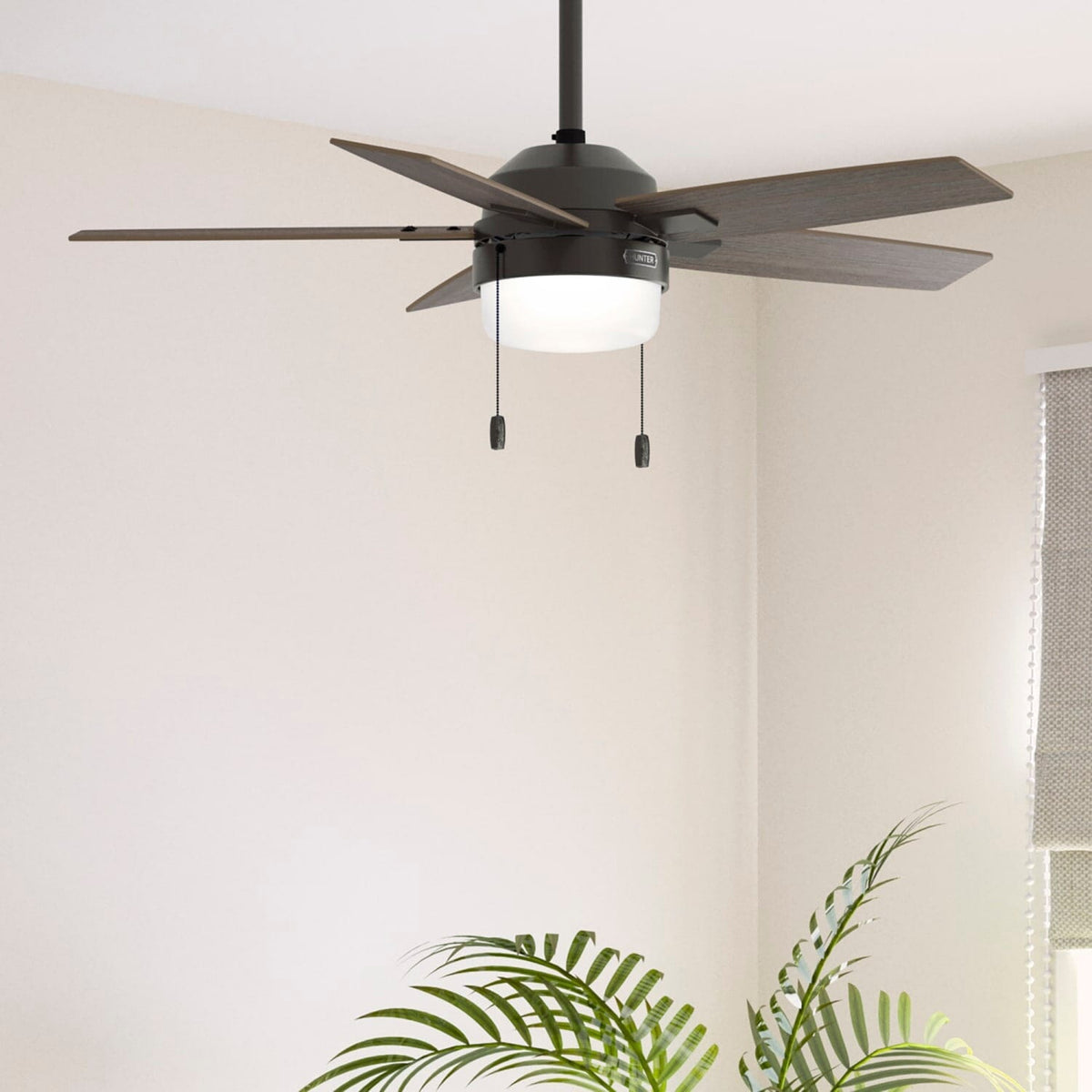 Anisten with LED Light 44 inch