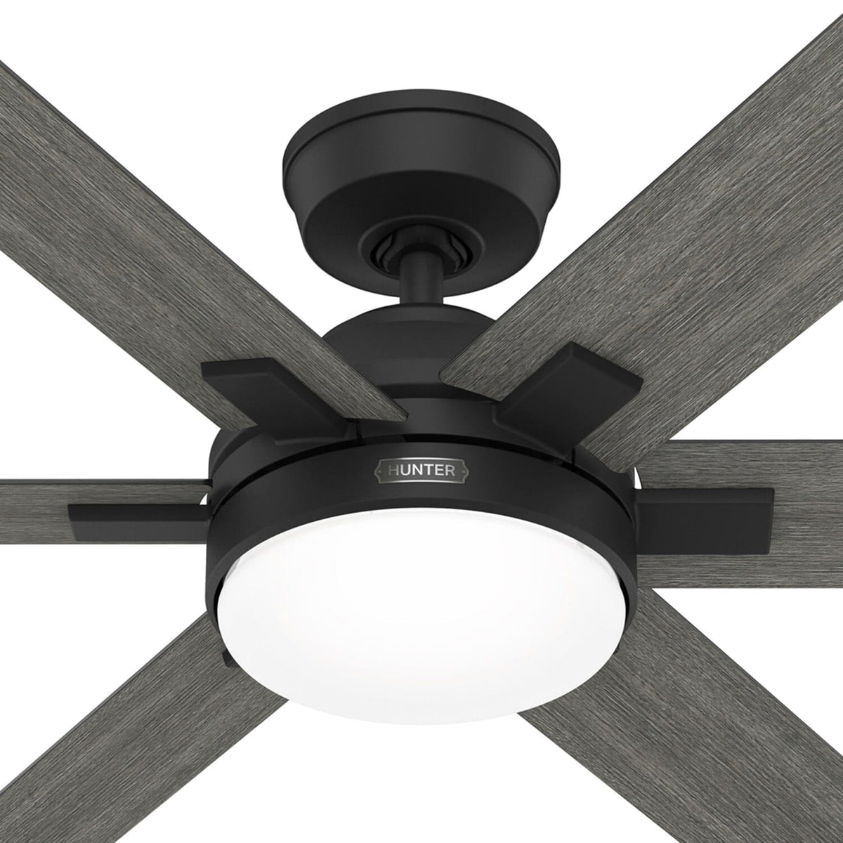 Georgetown Indoor HunterExpress with LED Light 52 inch with remote