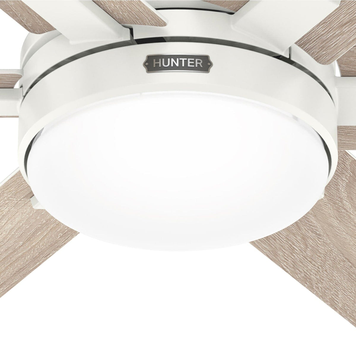 Georgetown Indoor HunterExpress with LED Light 52 inch with remote