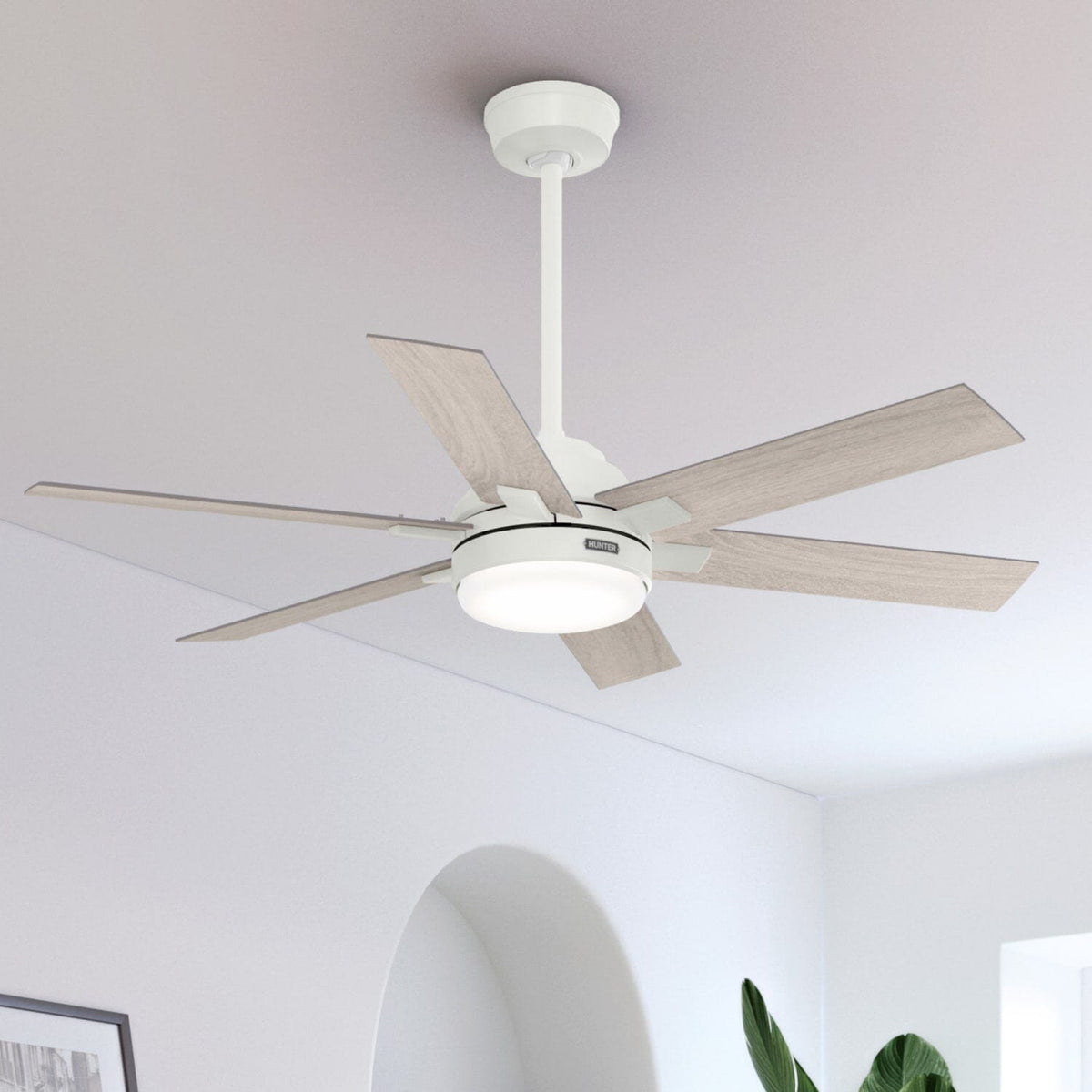 Georgetown Indoor HunterExpress with LED Light 52 inch with remote