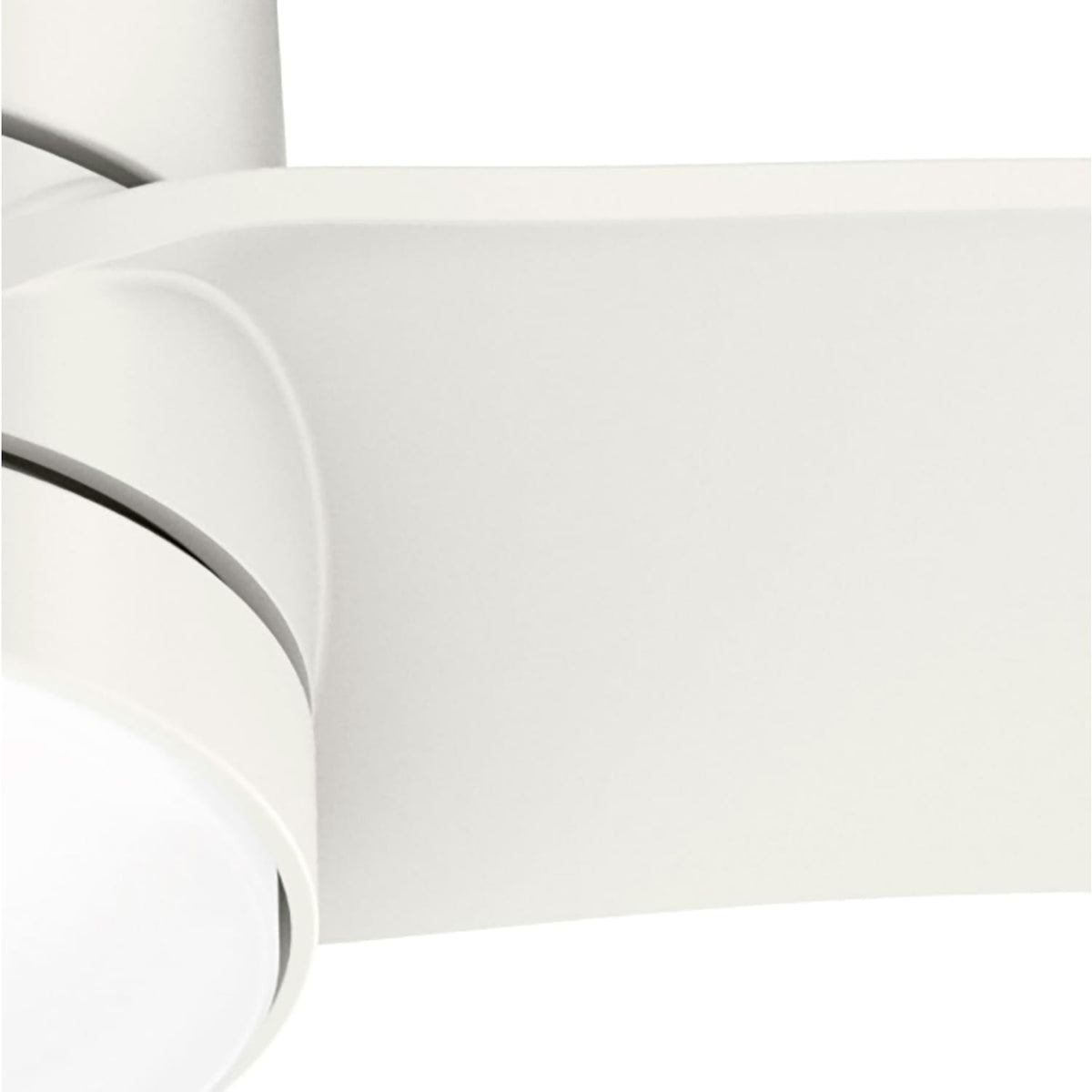 Bolsa 60 inch with LED Light and Remote