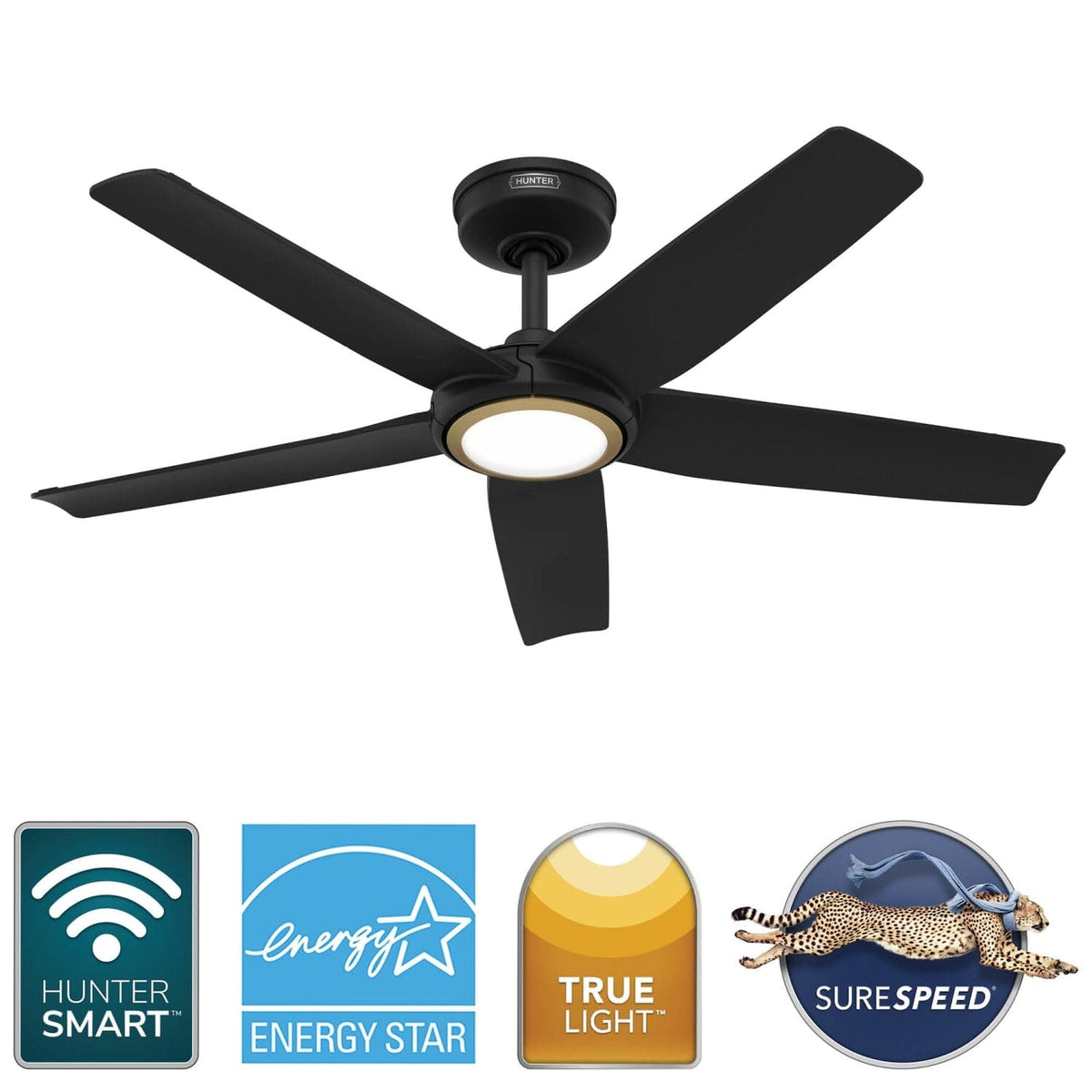ZenTech 5 Blade Indoor/Outdoor Smart Fan 44in
