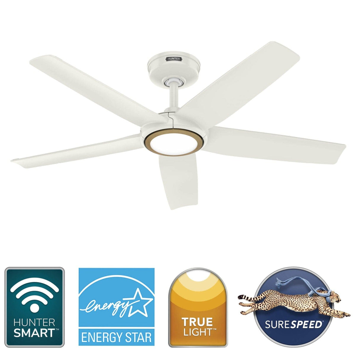 ZenTech 5 Blade Indoor/Outdoor Smart Fan 44in
