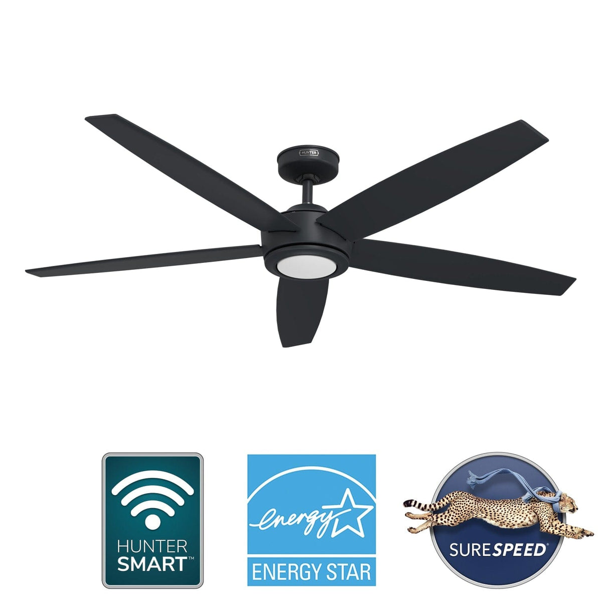 Zavia Indoor Smart with LED Light 60 inch with Remote