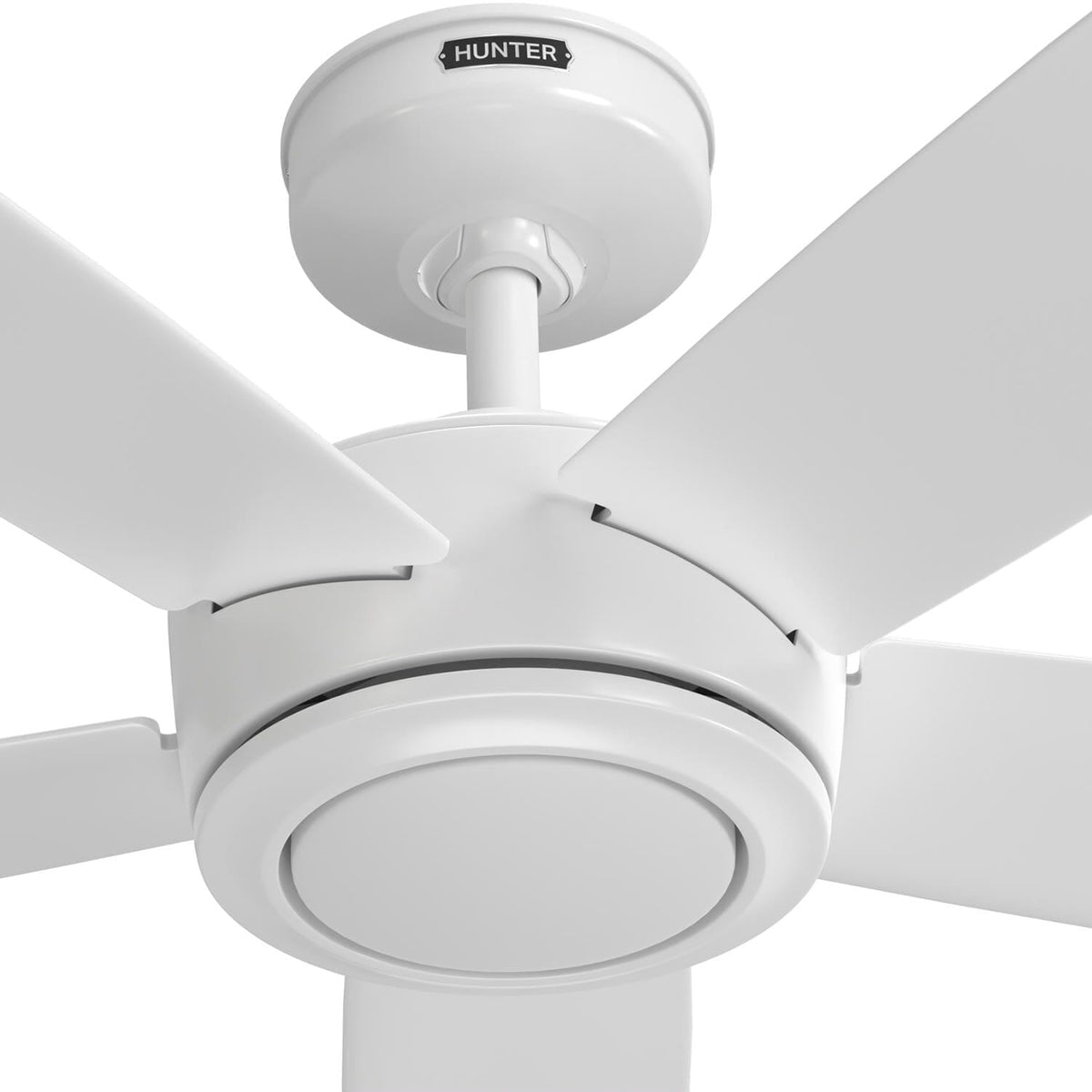 Zavia Indoor Smart with LED Light 60 inch with Remote