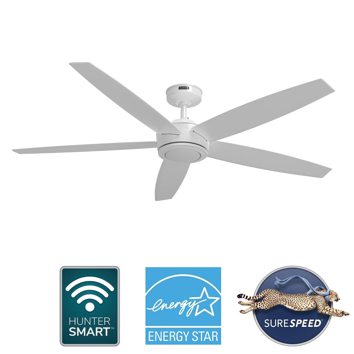 Zavia Indoor Smart with LED Light 60 inch with Remote