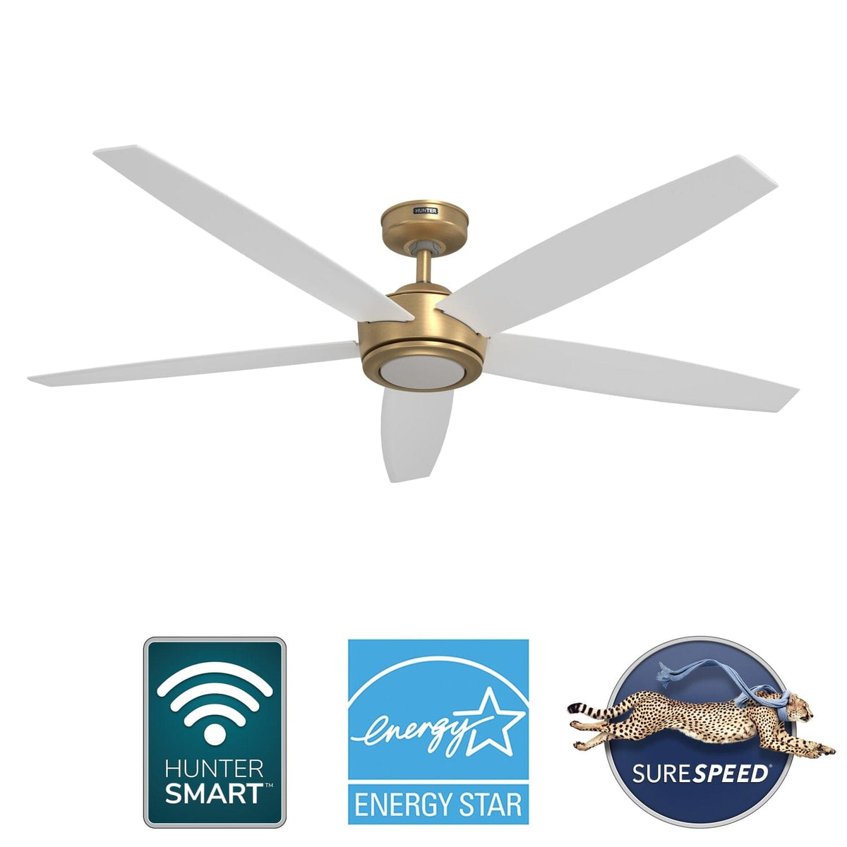 Zavia Indoor Smart with LED Light 60 inch with Remote