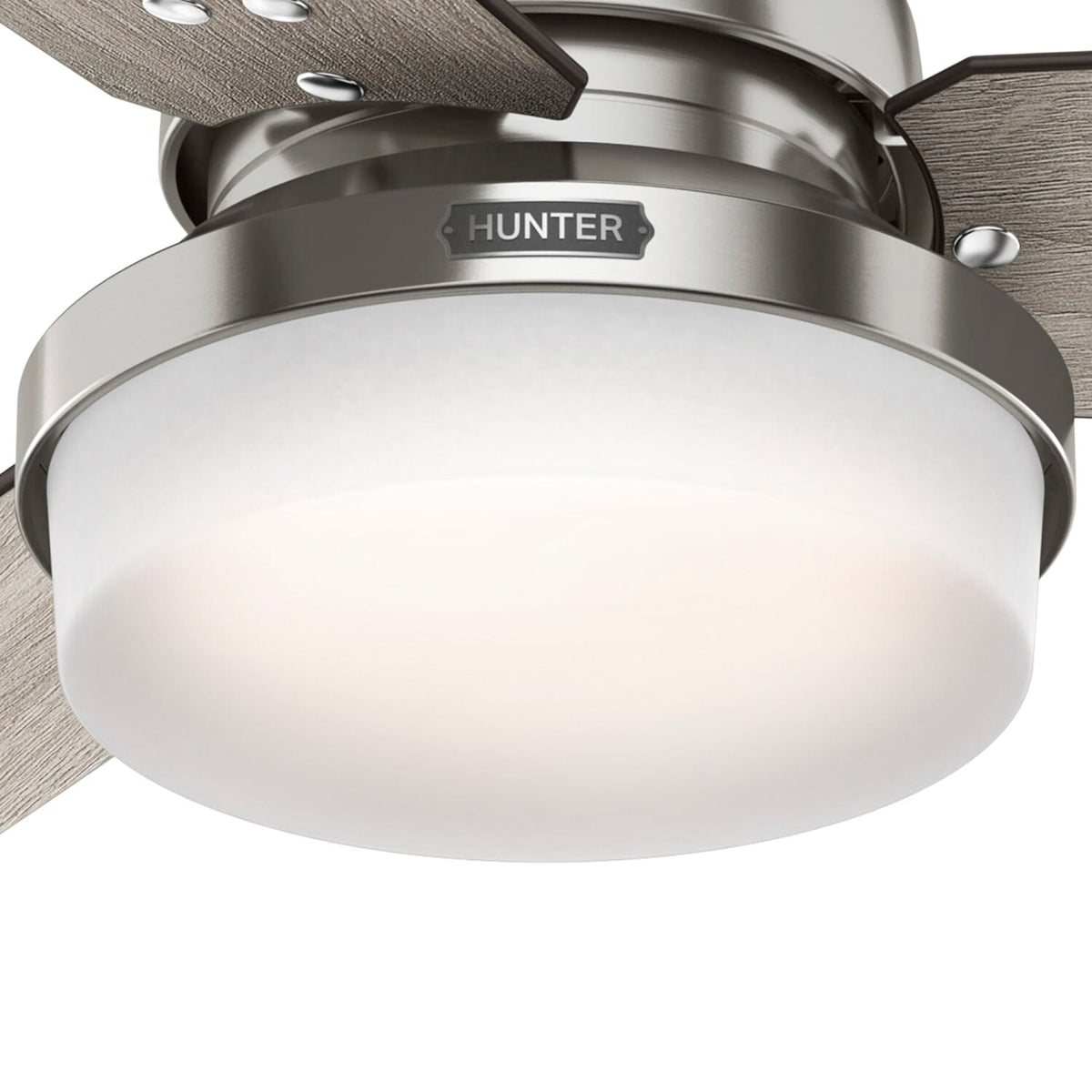 Sentinel with LED Light 52 inch