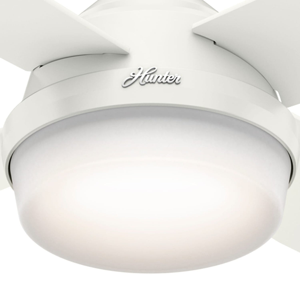 Dempsey Outdoor with Light 52 inch