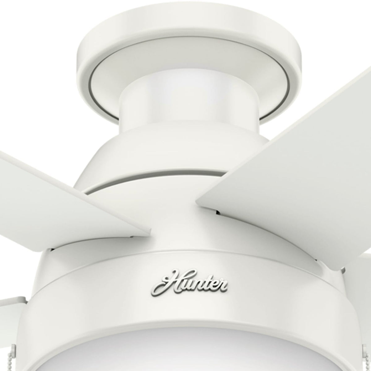 Anslee Low Profile with LED Light 46 inch
