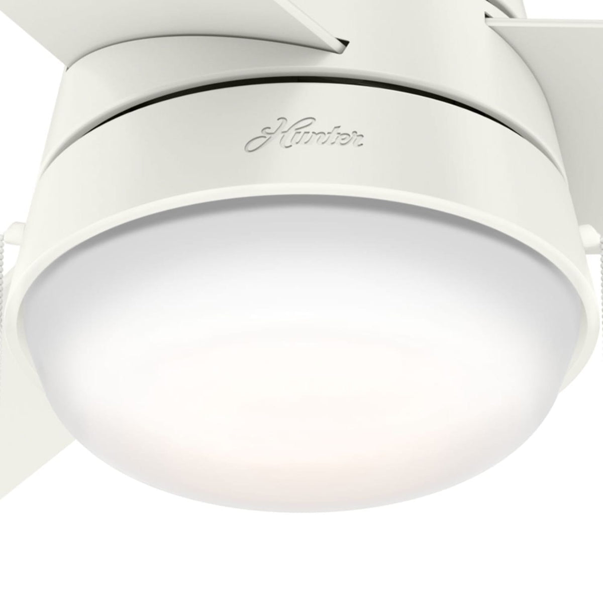 Aker with LED Light 36 inch