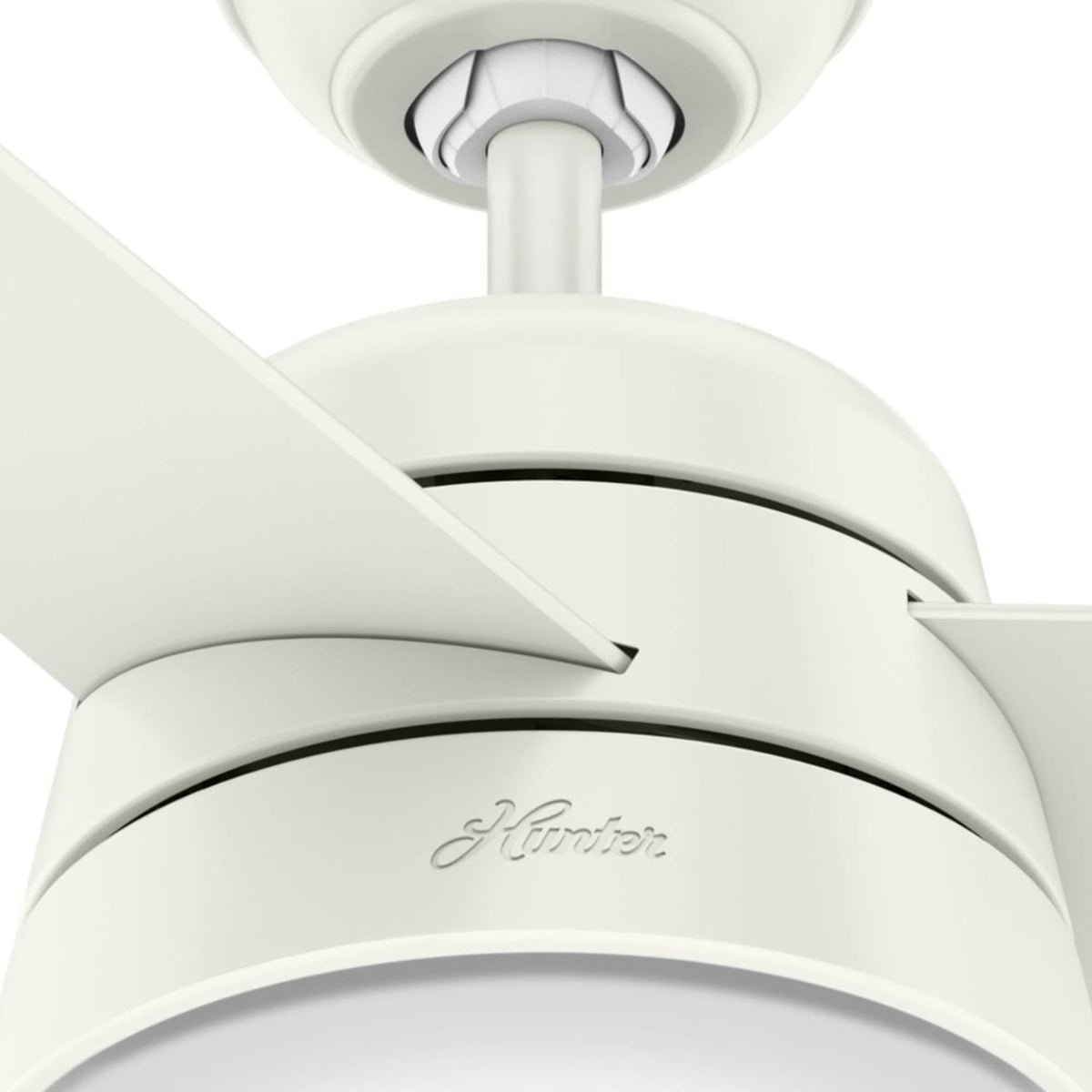 Aker with LED Light 36 inch