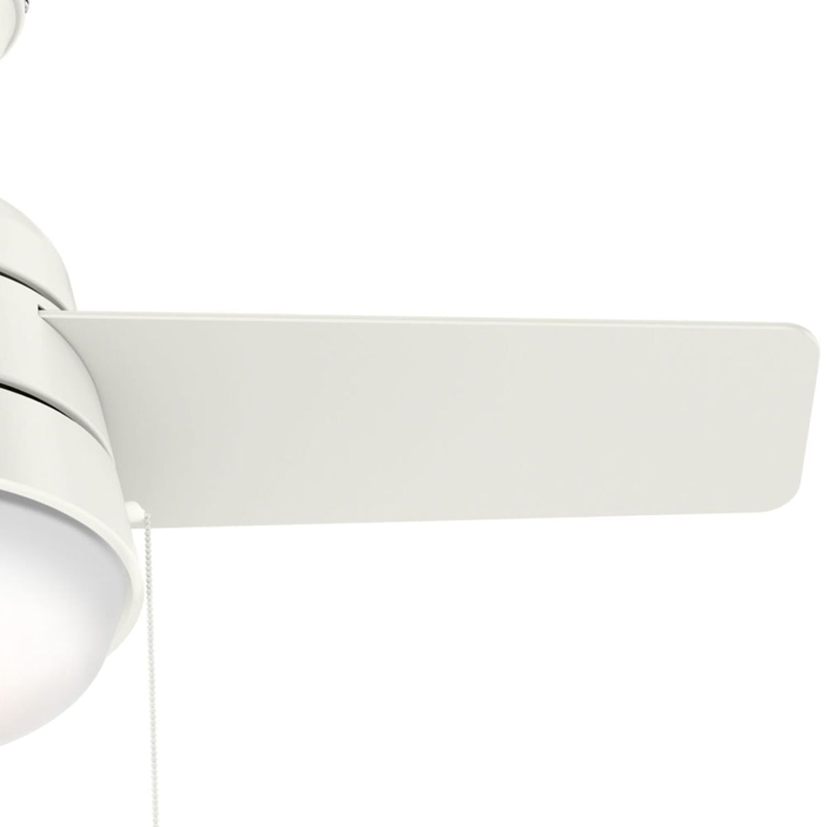 Aker with LED Light 36 inch