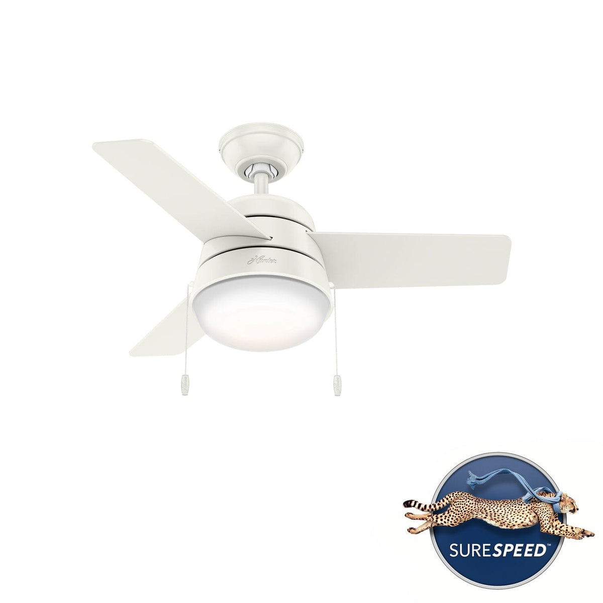 Aker with LED Light 36 inch