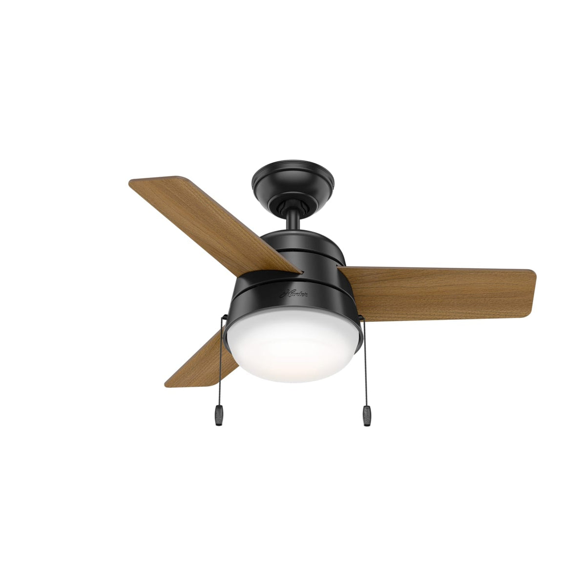 Aker with LED Light 36 inch