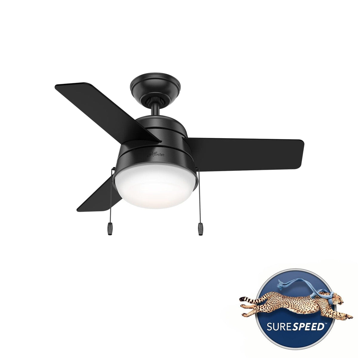 Aker with LED Light 36 inch