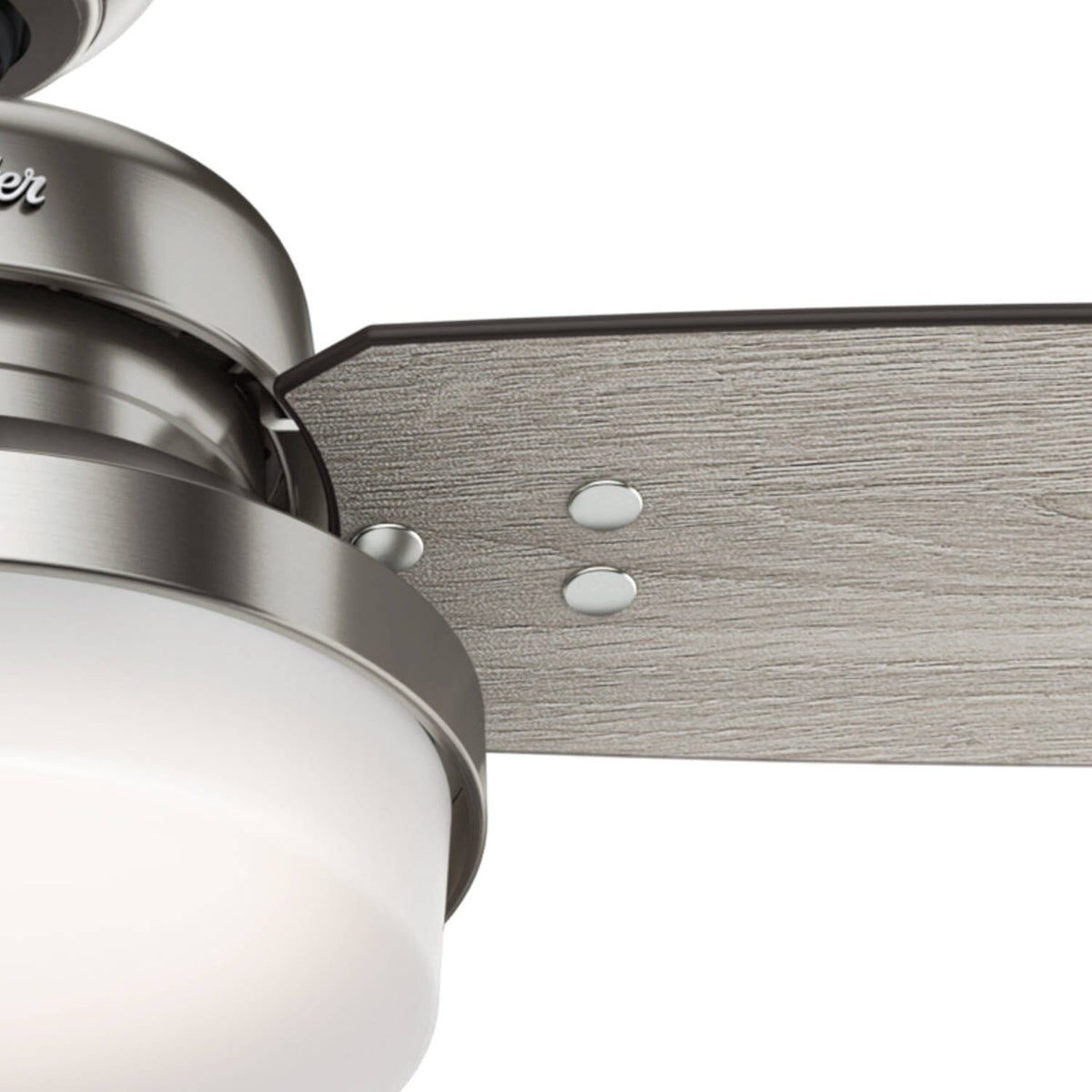 Sentinel with LED Light 60 inch