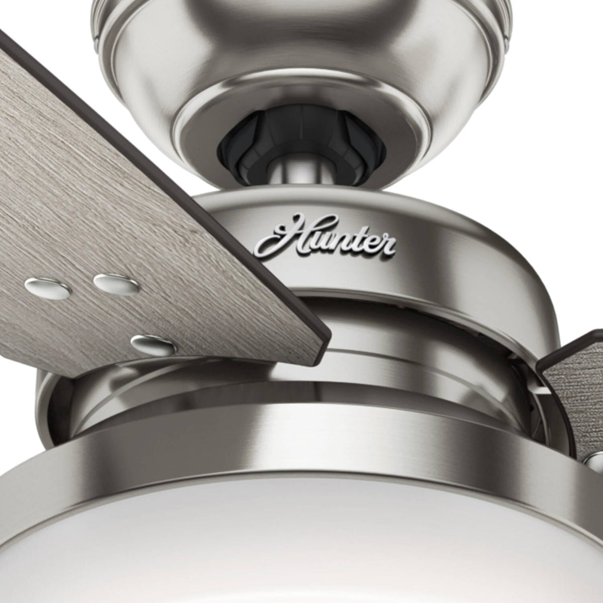 Sentinel with LED Light 60 inch