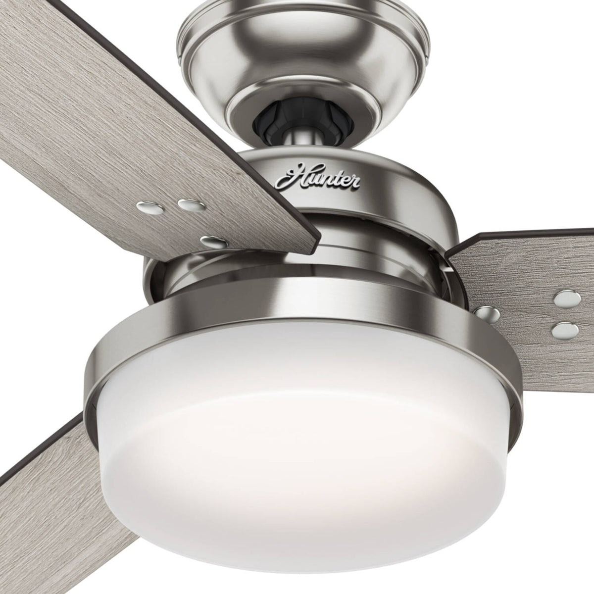 Sentinel with LED Light 60 inch