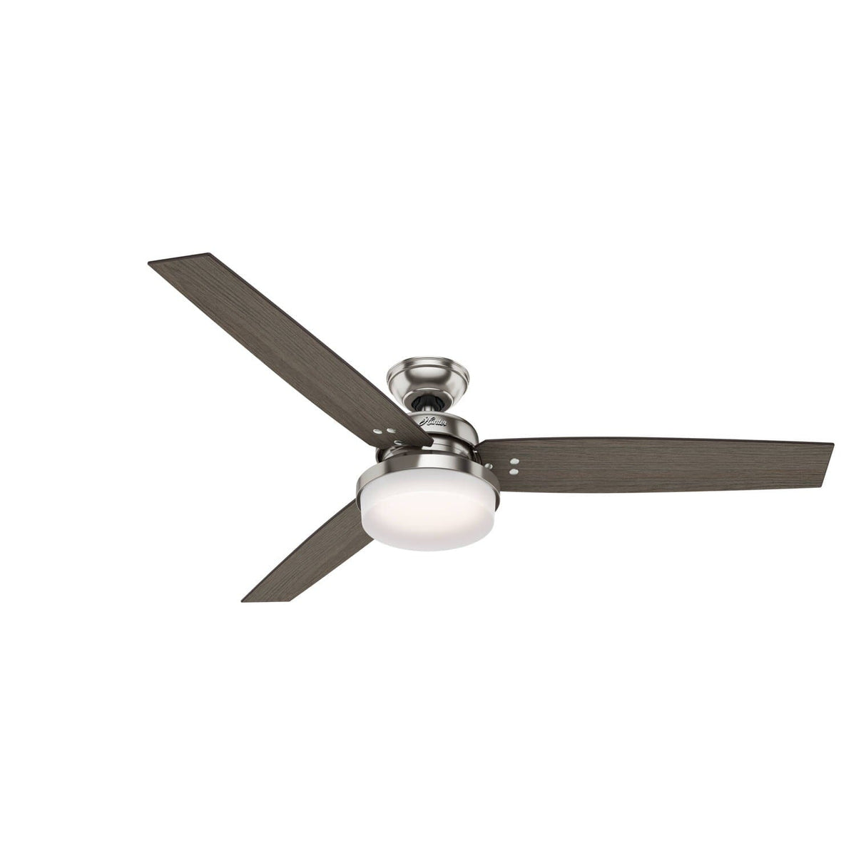 Sentinel with LED Light 60 inch