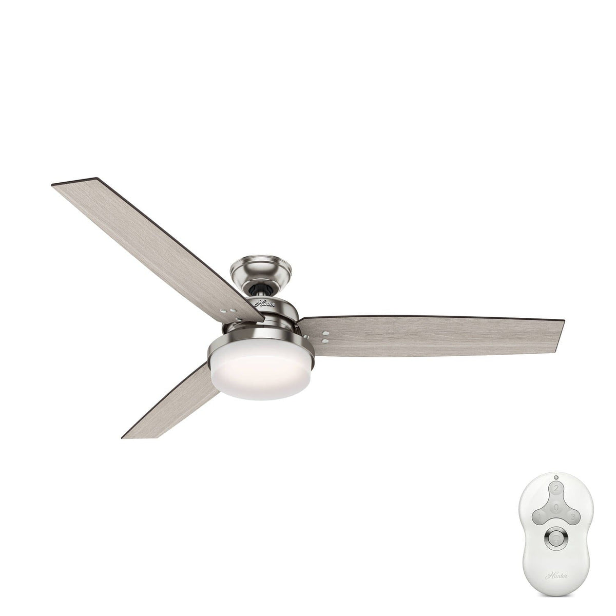 Sentinel with LED Light 60 inch