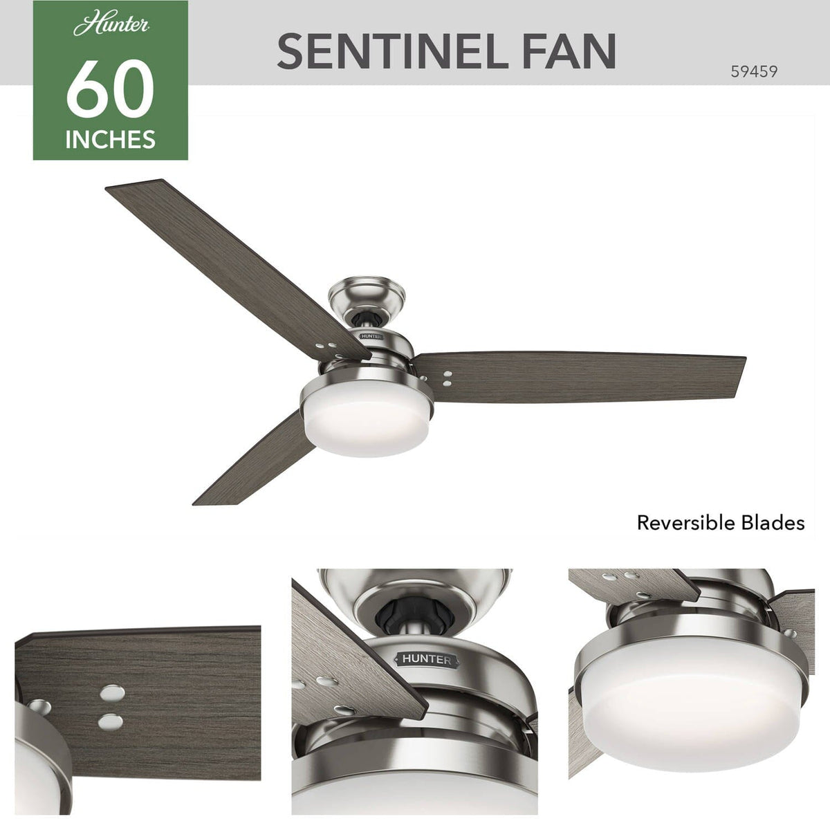 Sentinel with LED Light 60 inch