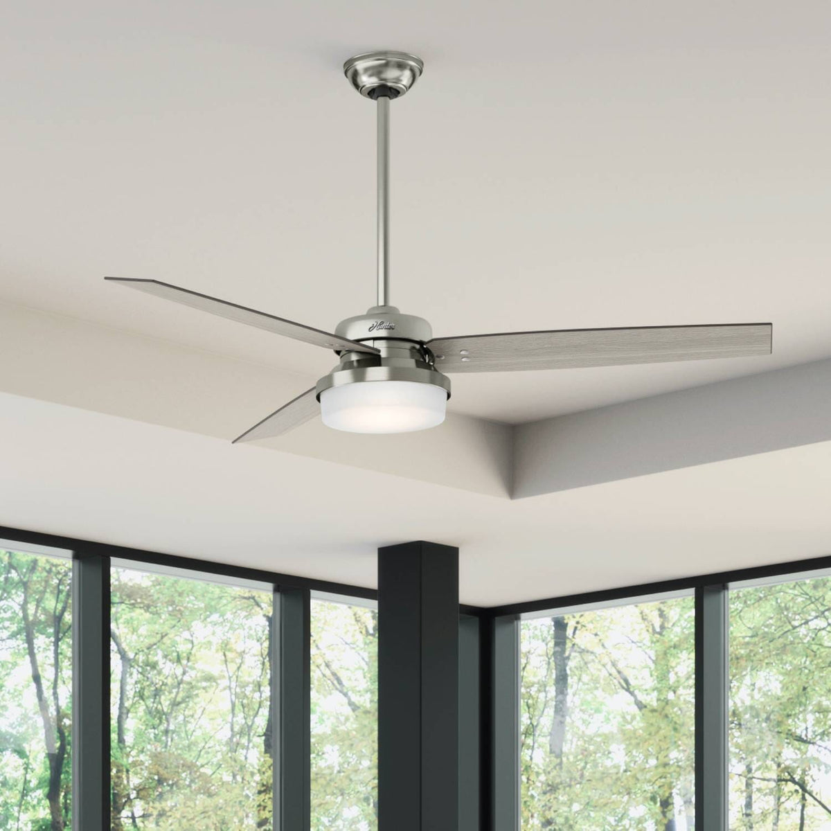 Sentinel with LED Light 60 inch