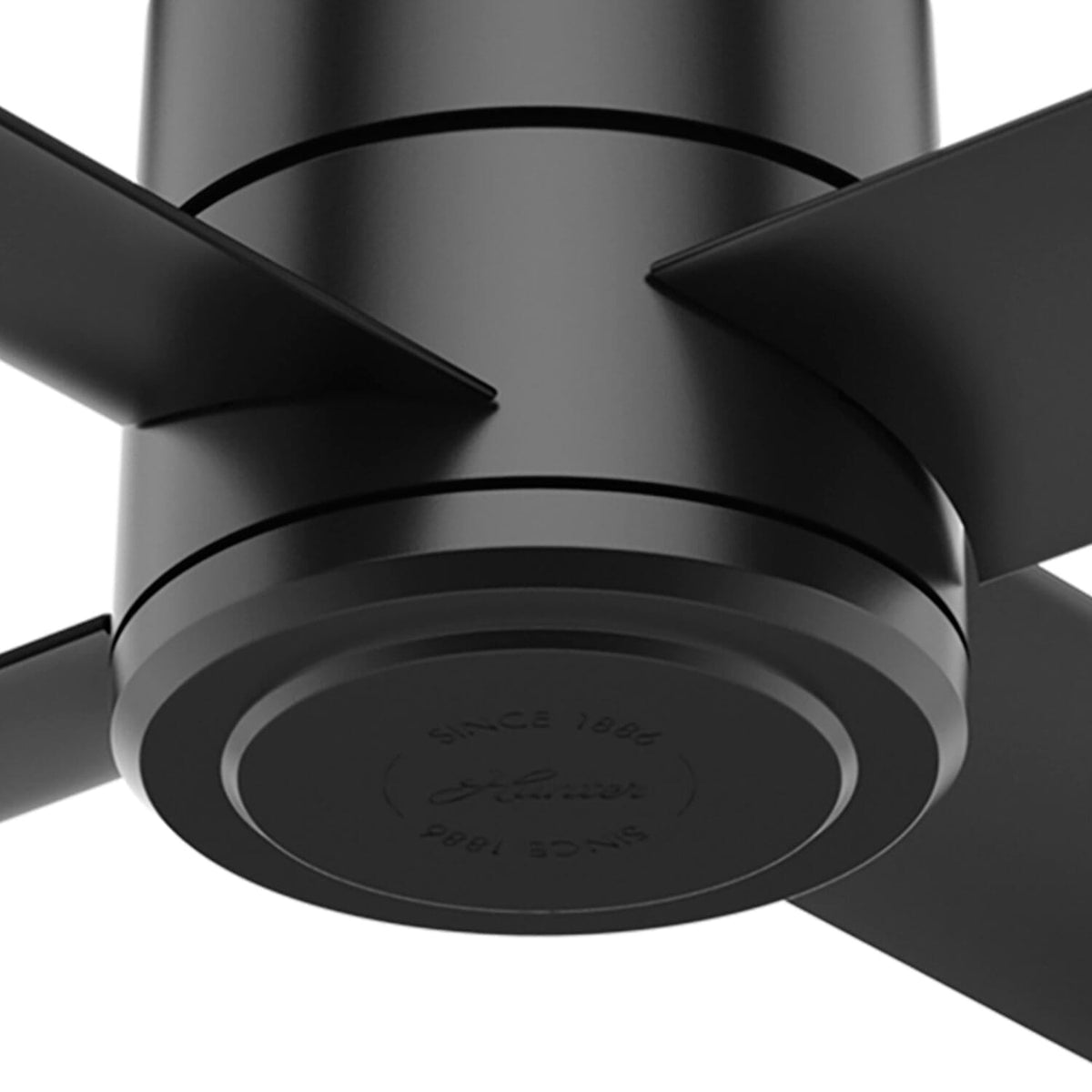 Trak Edge Outdoor 72 inches 120V