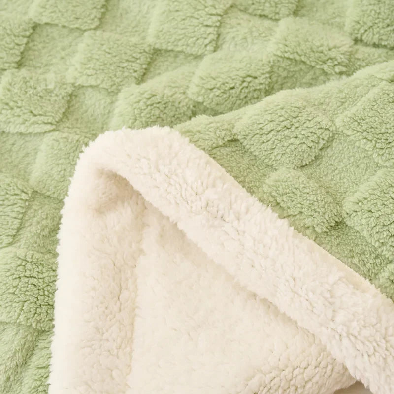 Afralia™ Taffeta Velvet Warm Blanket for Single Bed - Soft Nap Flannel Throws Blankets