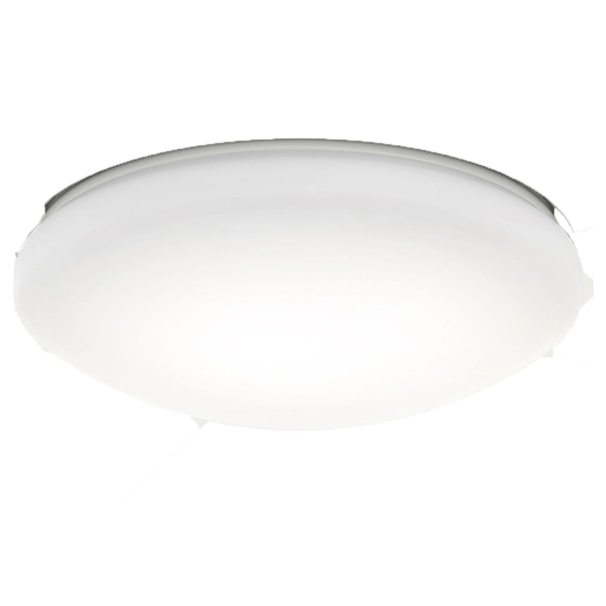 Glass Globe-Painted White Cased - K181001045